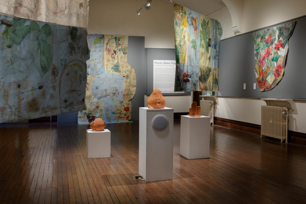 Laura Ribbons Plants make places