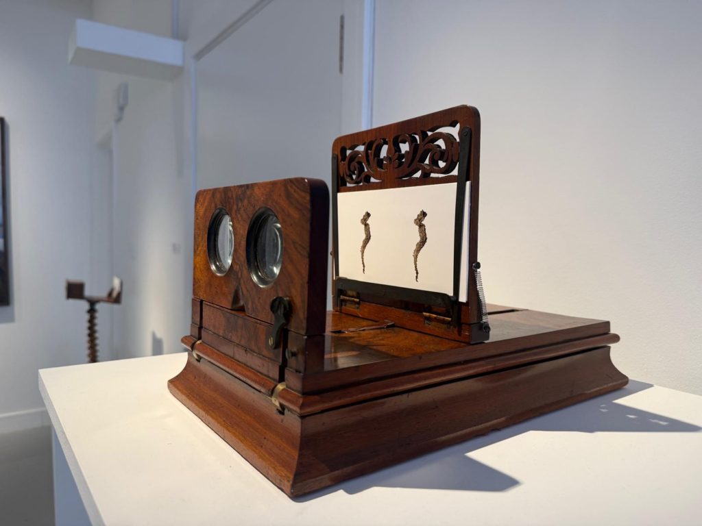 Frances Kearney stereoscope