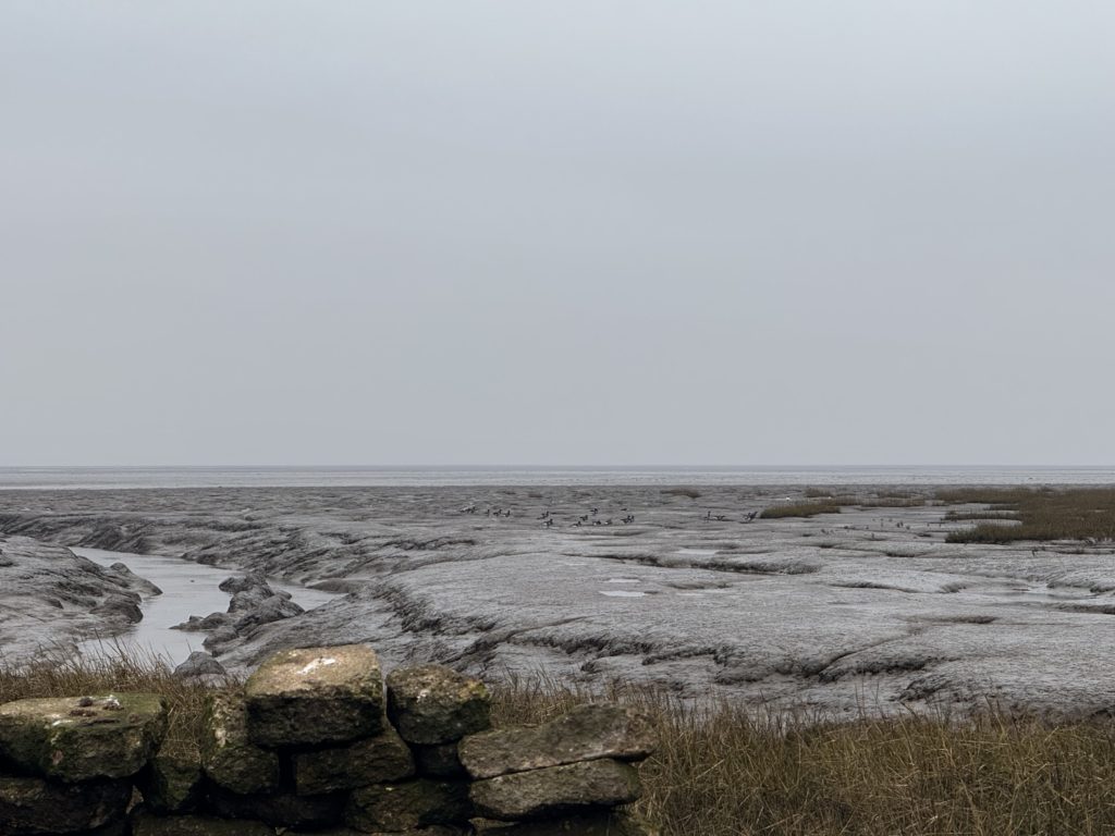 The Wash mudflats Mary Naylor