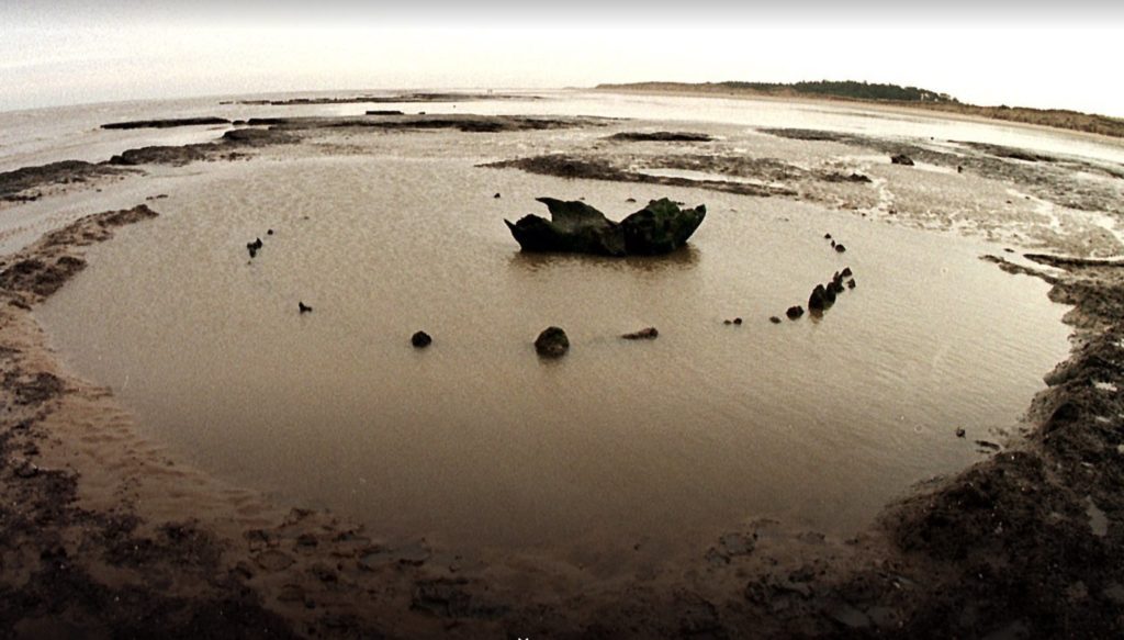 Seahenge