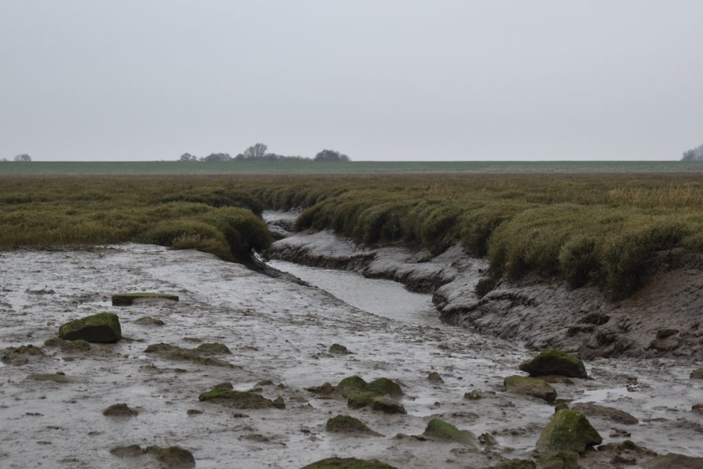 Wash mudflats Mary Naylor