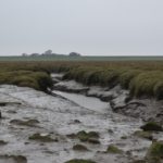 Wash mudflats Mary Naylor