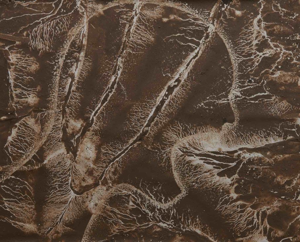 Liz McGowan Chthon