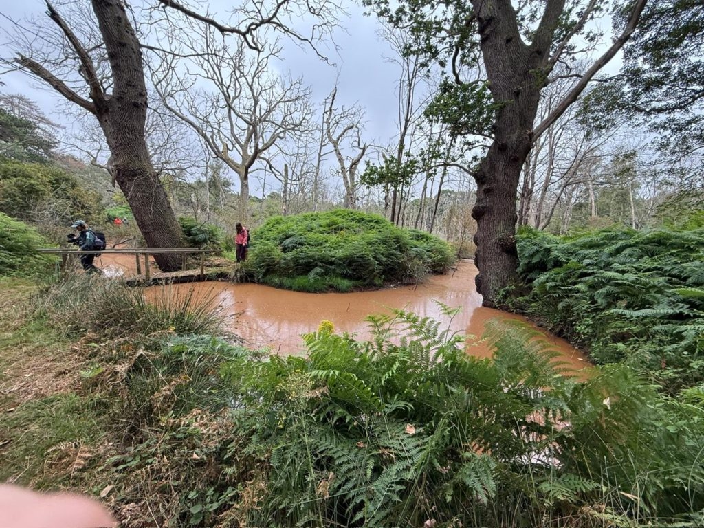 The Wash Beaver enclosure