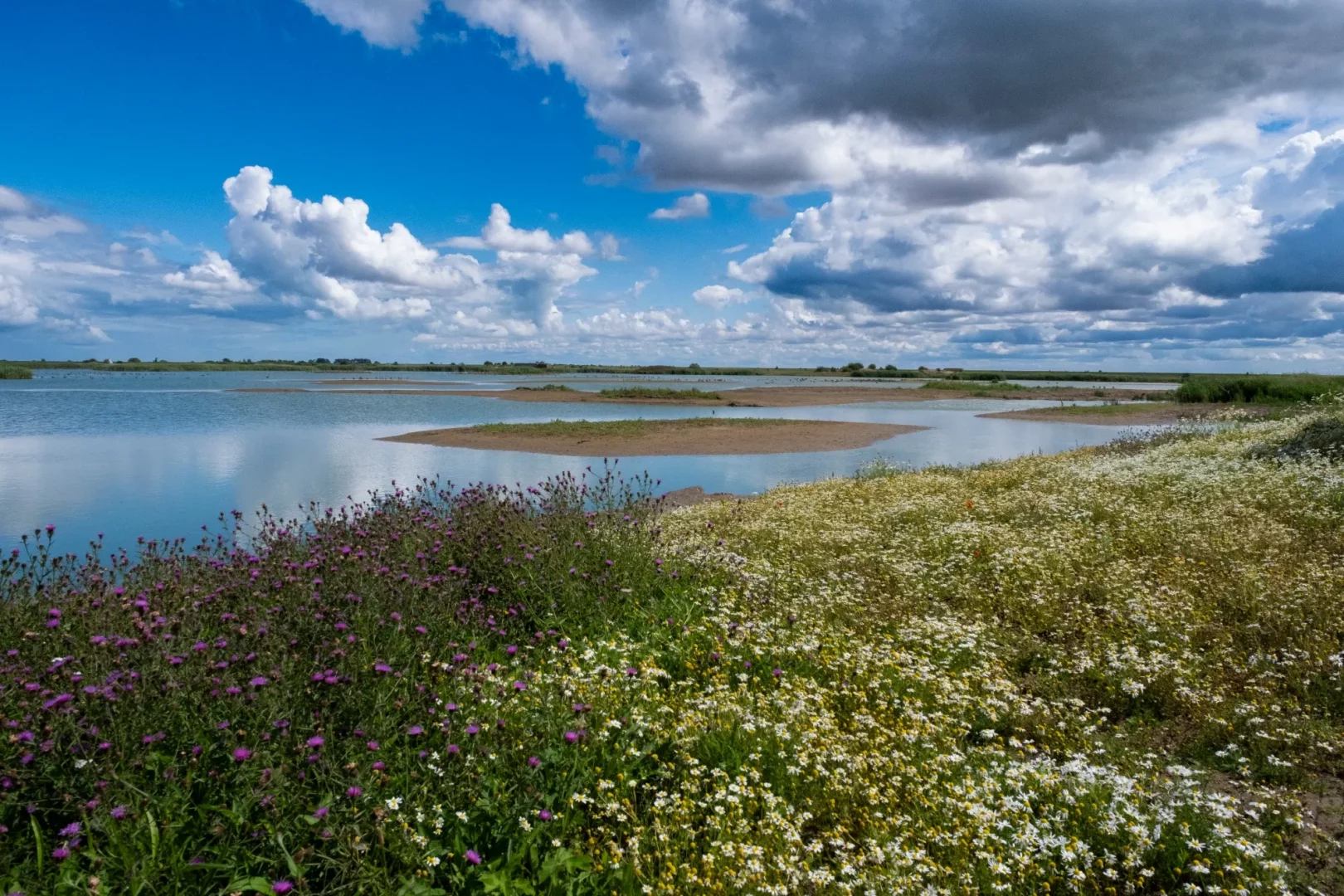 frampton marsch reserve