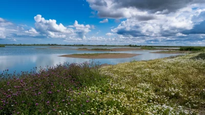 frampton marsch reserve